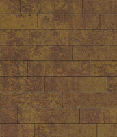  Брусчатка Прямоугольник Листопад 2.П.6 60 мм. Осень: внешний вид